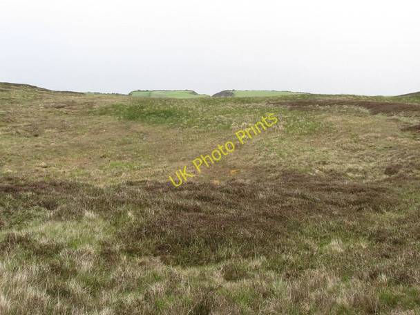 Photo 6"x4" Boggy hollow north of Spences Mountain Annalong c2011