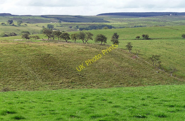 Photo 6"x4" Wark Common near Wark (2) Wark\/NY8677 c2010