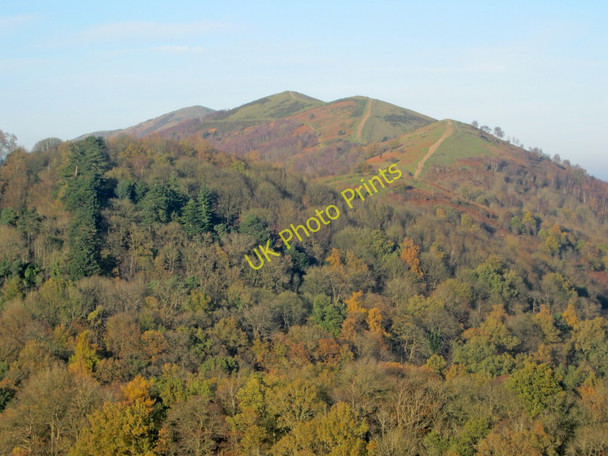 Photo 6"x4" Autumn colours on the Malvern Hills Little Malvern c2010