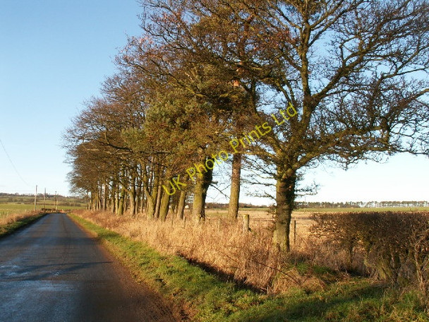 Photo 6"x4" By Hatton Farm Kirkton of Largo or Upper Largo c2006