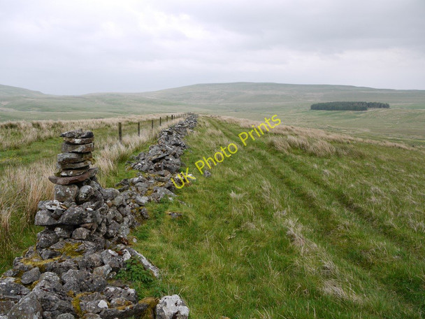 Photo 6"x4" Bridleway on Seavyrigg Side Helbeck c2011