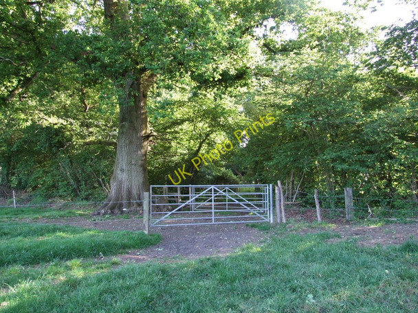 Photo 6"x4" Gate and Stile, Stapehill Hampreston c2011