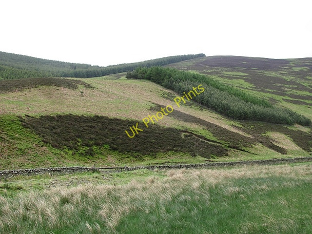 Photo 6"x4" Ridge above Early Hope Walkerburn c2011