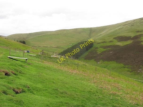 Photo 6"x4" Seat Hope Maiden Law\/NT3941 c2011