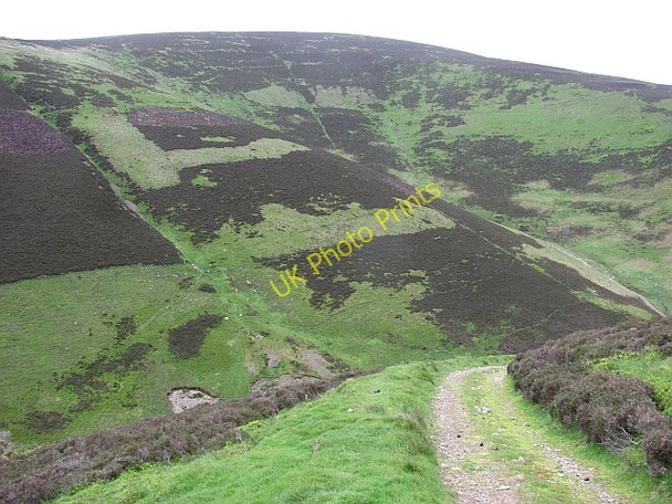 Photo 6"x4" Track, Seat Hope Maiden Law\/NT3941 c2011