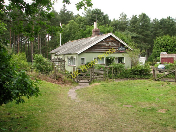 Photo 6"x4" East Suffolk line through Waveney Forest - Forest Lodge Fritton\/TG4600 c2011