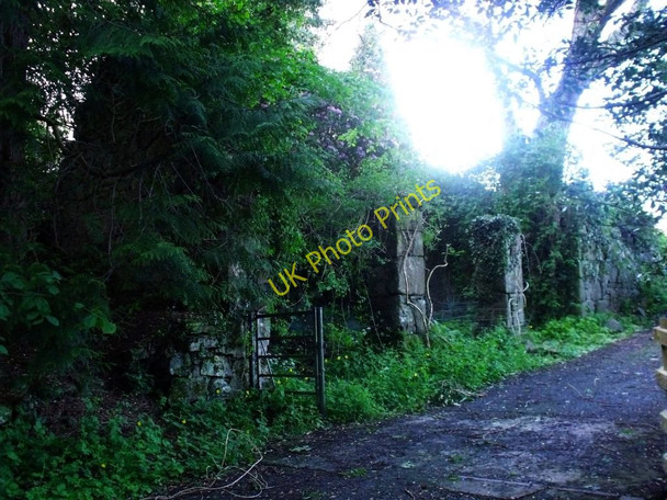 Photo 6"x4" Wester Craigends, ruin Borestone c2011