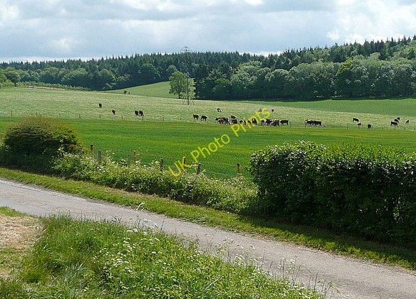 Photo 6"x4" Farmland near Cheriton Bishop's Sutton c2011