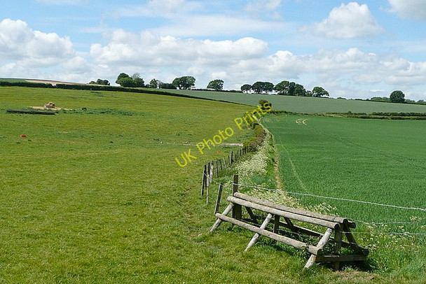 Photo 6"x4" On Gander Down Cheriton\/SU5828 c2011