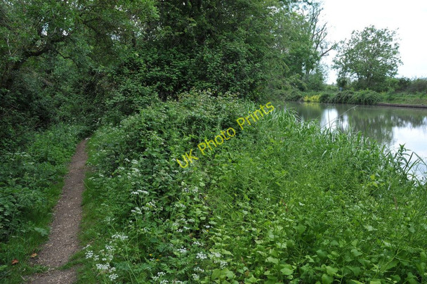 Photo 6"x4" Thames Path near Shifford Lock Duxford\/SU3699 c2011