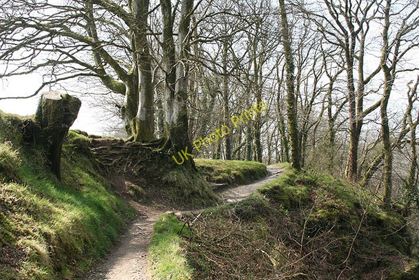 Photo 6"x4" Lydford: above Lydford Gorge 1 Lydford c2008