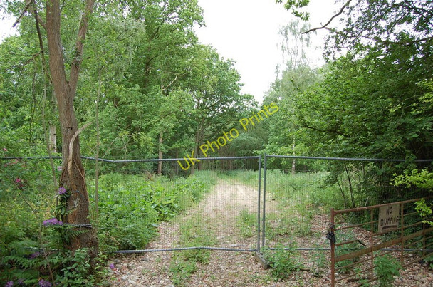 Photo 6"x4" Skellingthorpe Old Wood Skellingthorpe c2011