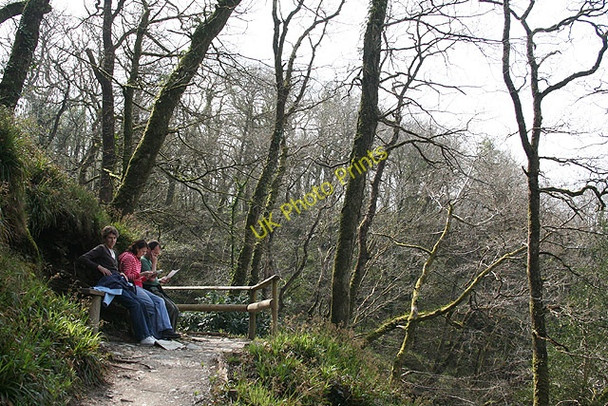 Photo 6"x4" Lydford: path above the waterfall Lydford c2008