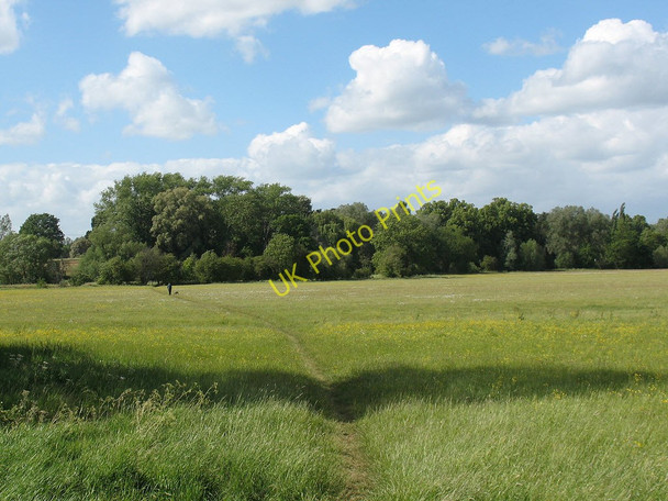 Photo 6"x4" Hunsdon Mead nature reserve Eastend\/TL4210 c2011