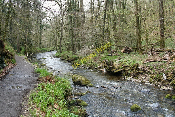 Photo 6"x4" Lydford: the river Lyd Lydford c2008