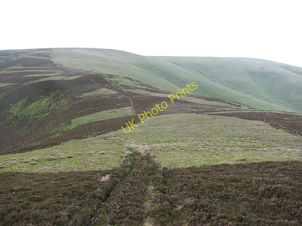 Photo 6"x4" North ridge, Scawd Law Walkerburn c2011