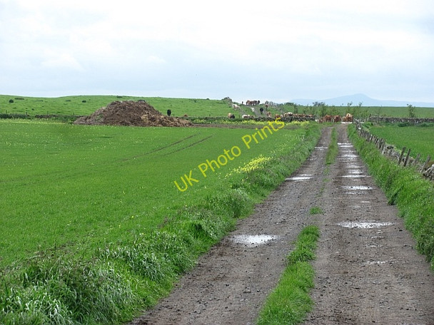 Photo 6"x4" Farm road, Kinninmouth Hill Baldinnie c2011