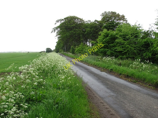 Photo 6"x4" Minor road, Gilston Largoward c2011