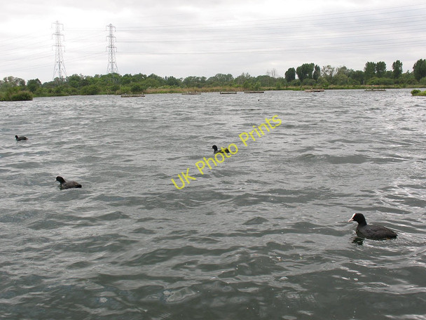 Photo 6"x4" Choppy Water Cheshunt c2011