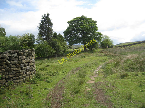 Photo 6"x4" Track to Broadgate Farm Westerdale\/NZ6605 c2011