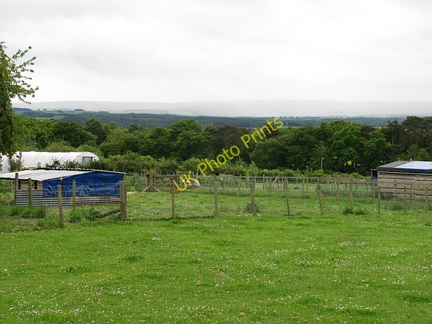 Photo 6"x4" Letham Holdings Huntington\/NT4874 c2011