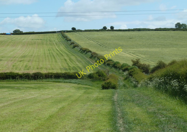 Photo 6"x4" Footpath across rising fields towards Pilsley Clay Cross c2011