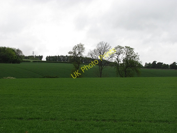 Photo 6"x4" Farmland, Greenside Woodside\/NO4207 c2011