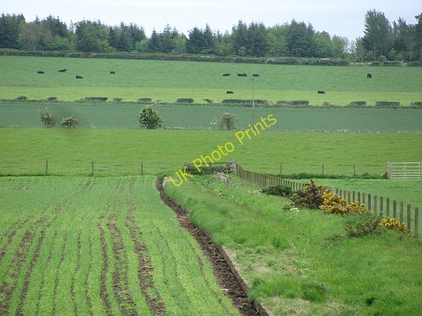 Photo 6"x4" Farmland, Annfield Woodside\/NO4207 c2011