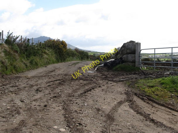 Photo 6"x4" Field access lane off Sandy Brae, Atticall Attical c2011