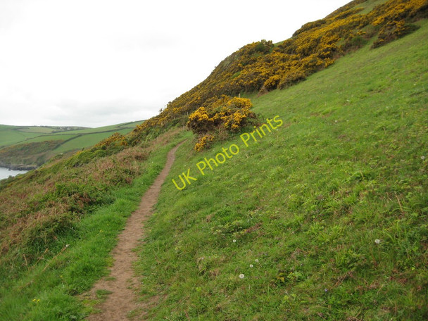 Photo 6"x4" Above Lansallos Cliff Lansallos c2011