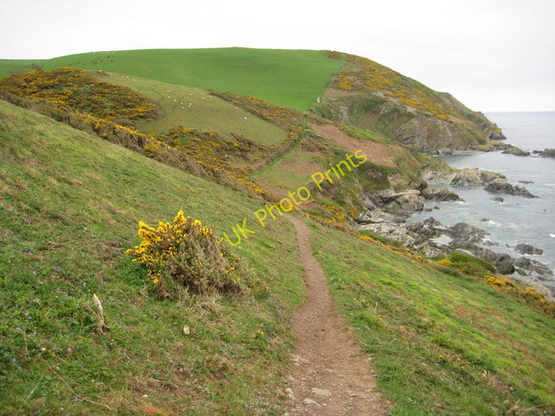 Photo 6"x4" Coast path approaching East Coombe Lansallos c2011