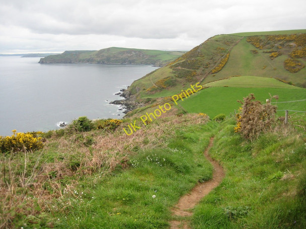 Photo 6"x4" Coast path above East Coombe Lansallos c2011