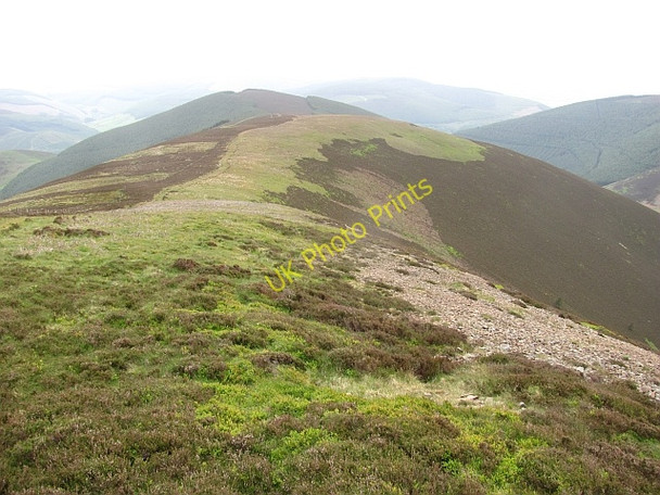 Photo 6"x4" South ridge, Scawd Law Walkerburn c2011