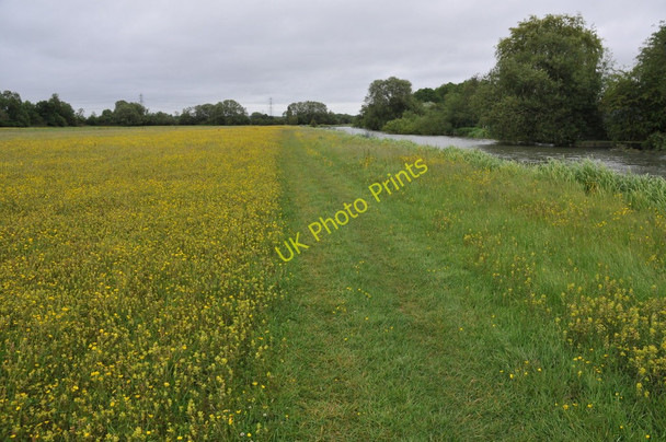 Photo 6"x4" River Thames near Northmoor Lock Moreton\/SP4101 c2011