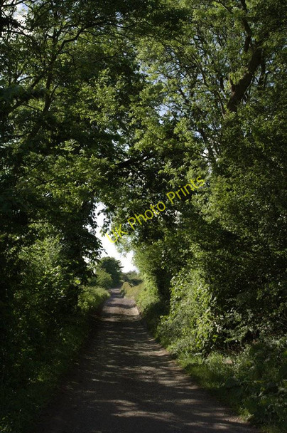 Photo 6"x4" Black Lane Harley\/SK3698 c2011