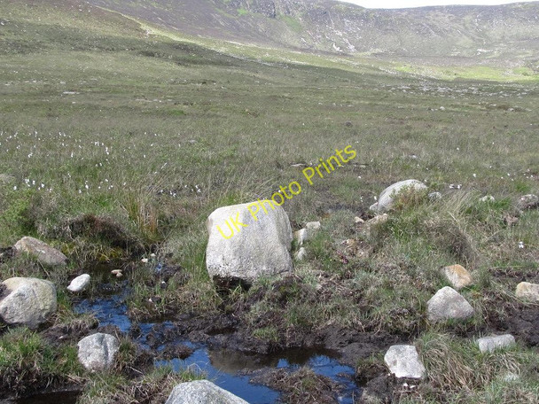 Photo 6"x4" Bogland fringing on the Sandy Brae Road Attical c2011