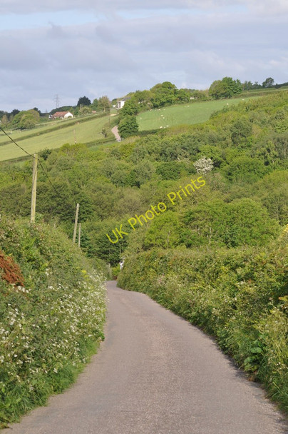 Photo 6"x4" The view across a wooded valley towards Bickleton Bickleton c2011