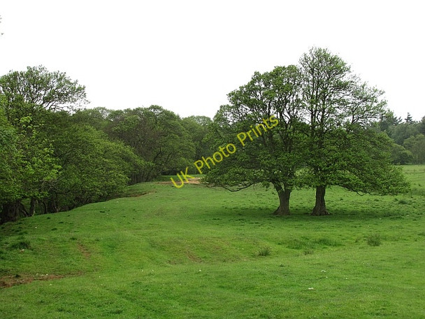 Photo 6"x4" Burnside field, Eglingham Eglingham c2011