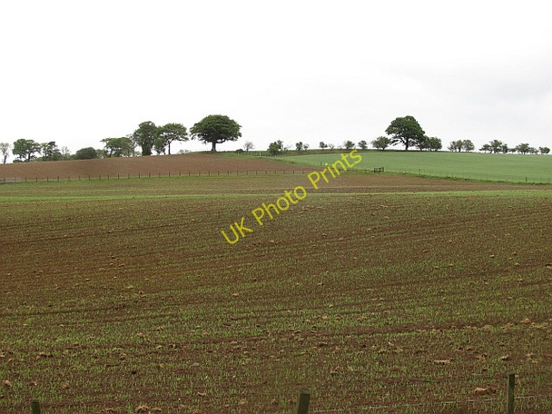 Photo 6"x4" Arable land, Craigs House Eglingham c2011