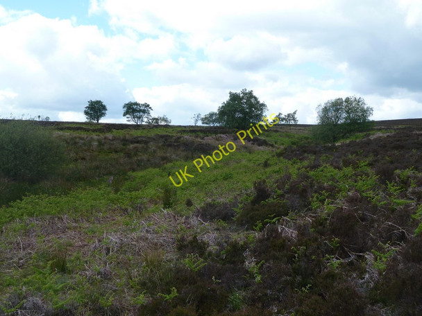 Photo 6"x4" Moorland and upland stream catchment Owler Bar c2011
