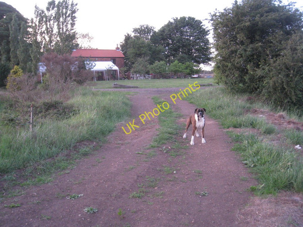 Photo 6"x4" This is my square ! Tunnel Pits c2011