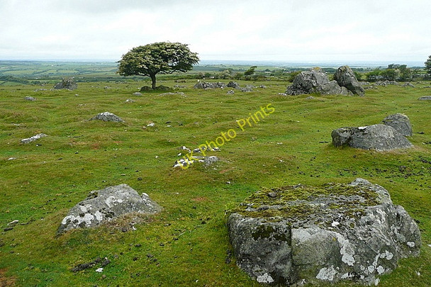 Photo 6"x4" Landscape near Sourton Tors Forda\/SX5390 c2011