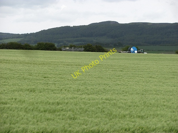 Photo 6"x4" Barley field New Bewick c2011
