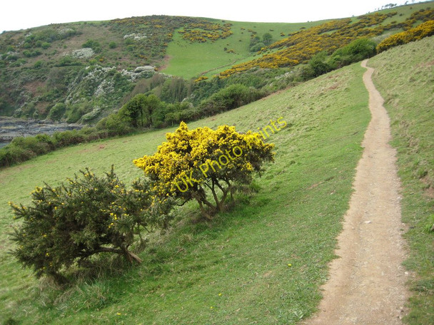 Photo 6"x4" Coast path above Portnadler Bay Looe c2011