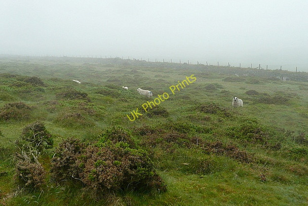 Photo 6"x4" Rough grazing at Great Nodden Shortacombe\/SX5286 c2011