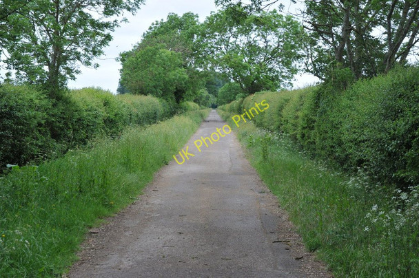 Photo 6"x4" Lane to Stanton Harcourt Blackditch c2011