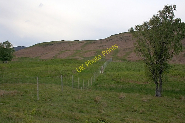 Photo 6"x4" Deer Fence, Looking up Towards Dalrannoch Hill Cultybraggan c2011