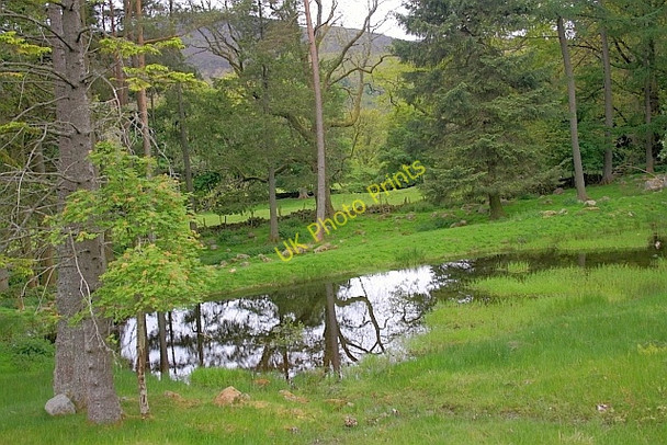 Photo 6"x4" Pond, Invergeldie Invergeldie c2011