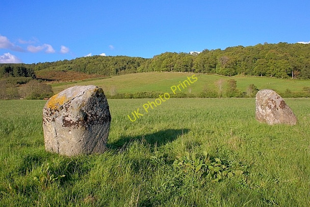 Photo 6"x4" Remains of Stone Circle Tullybannocher c2011