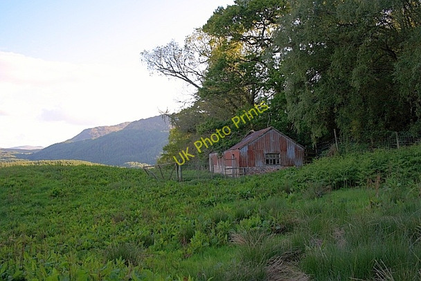 Photo 6"x4" Derelict Building near Cluan wood Dunira c2011